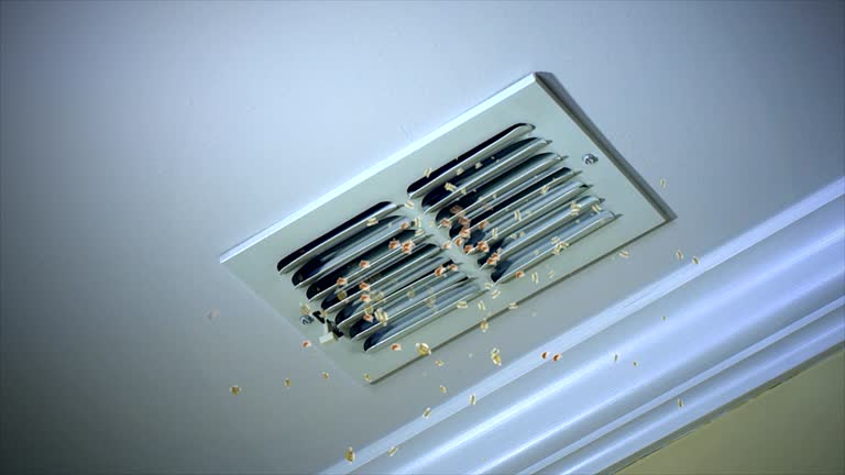 Best General Air Duct Cleaning  in Lakeview, CA