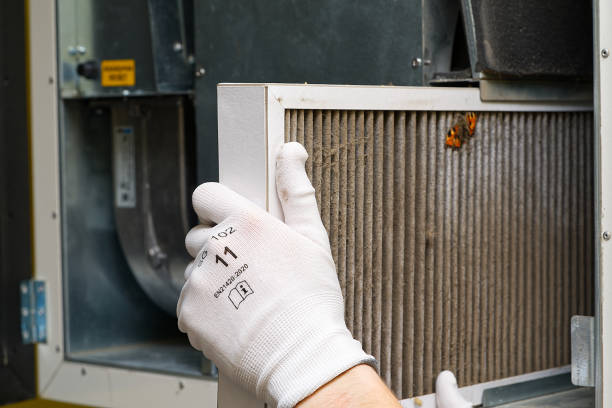 Best Affordable HVAC Duct Cleaning  in Lakeview, CA