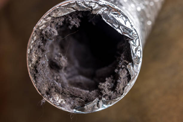 Best Commercial Air Duct Cleaning  in Lakeview, CA